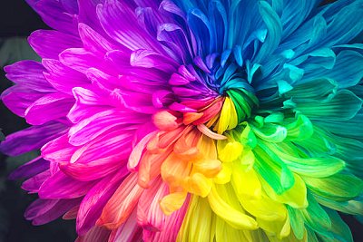 Epson yazıcı pembe tamir sonrası kopya örnegi