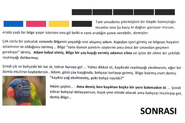 Canon Yazıcı Kafa Onarım Sonrası Net Baskı