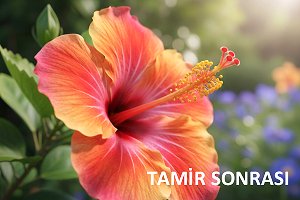 Epson pembe basma - düzelmiş çıktı örneği